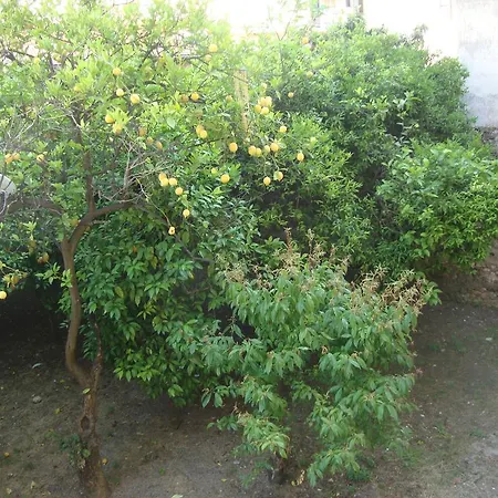 Anfiteatro Apartment *